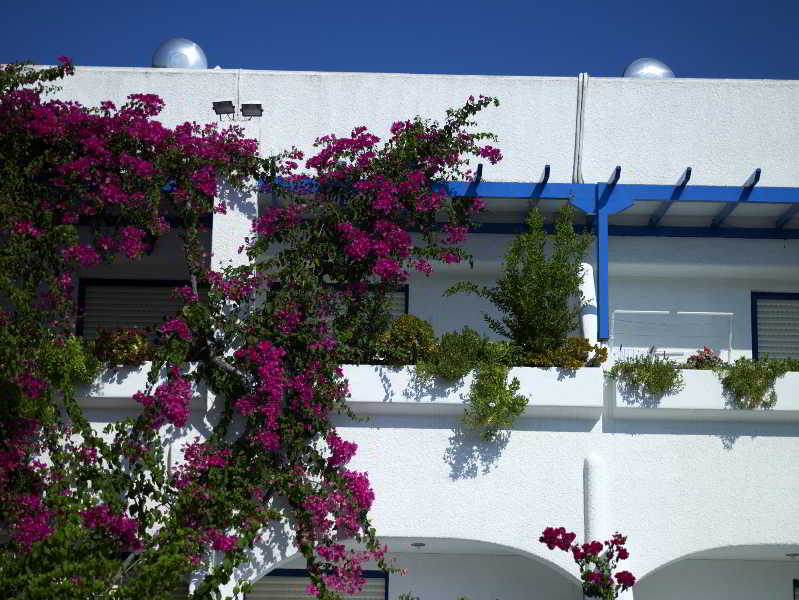 Ninetta'S Studios Poros Town Eksteriør billede